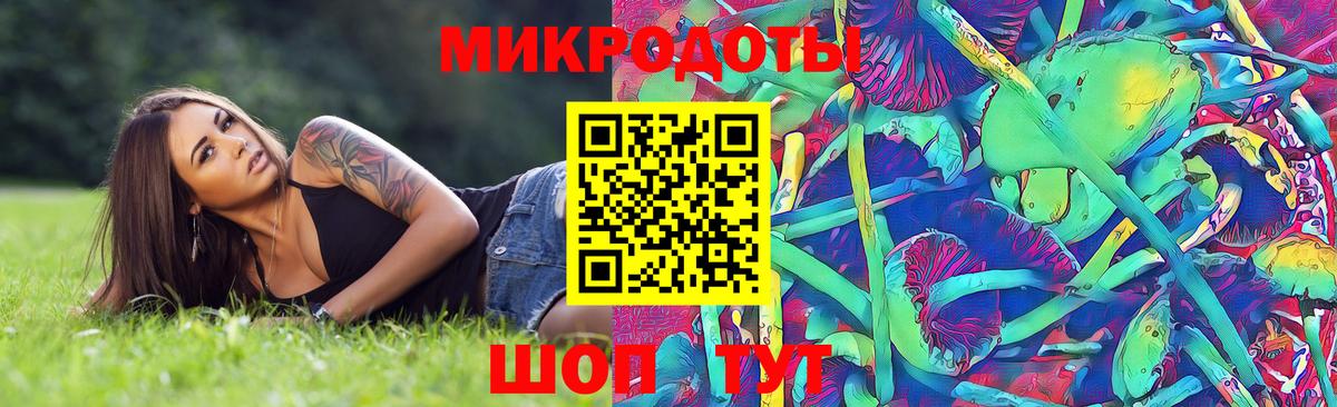APVP Новодвинск